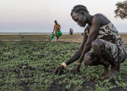 sudanese_farmers