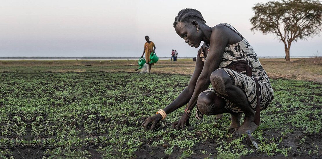 sudanese_farmers