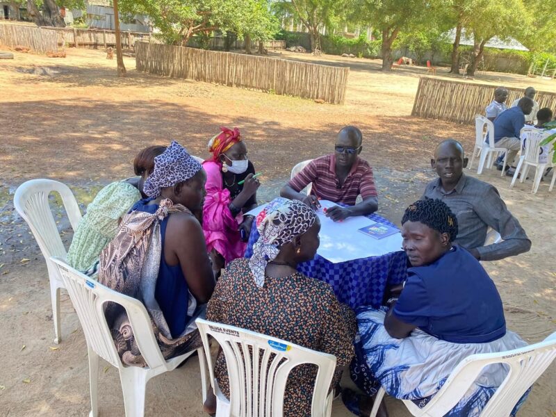 Local Lobby and Advocacy Networks Meet in Bor to Share Experiences on their Activities